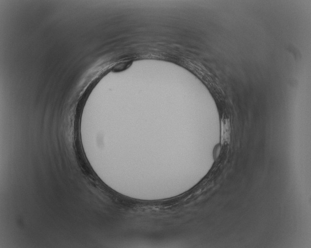 X0000116350291200912291637