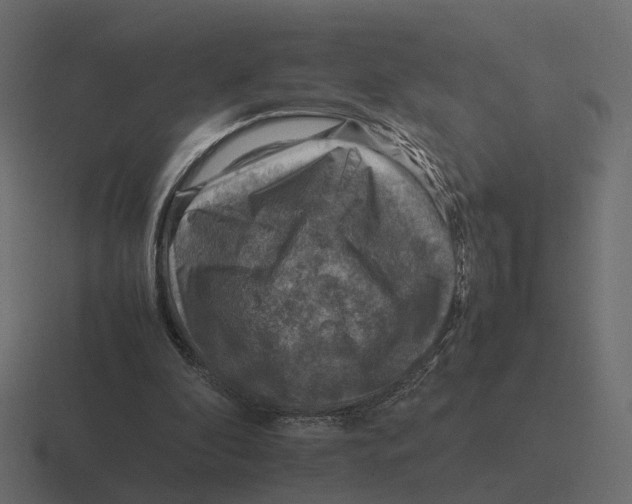 X0000116350296200912291637
