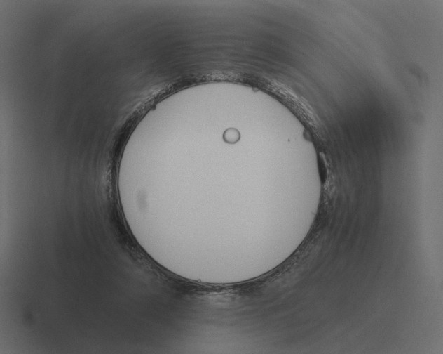 X0000116350306200912291637