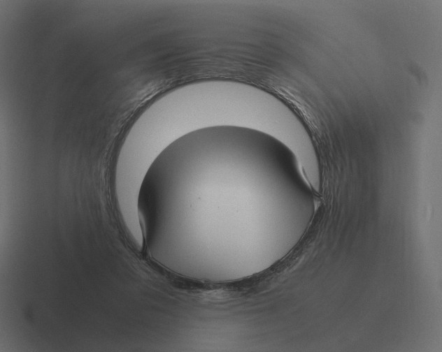 X0000116350309200912291637