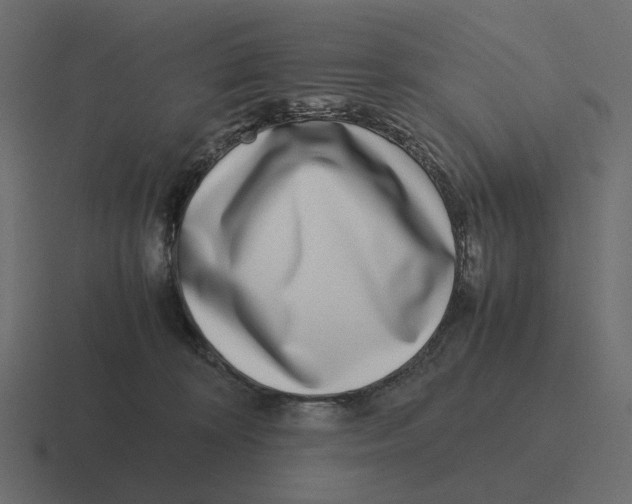 X0000116350324200912291636