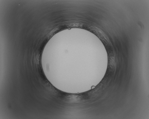X0000116350326200912291636