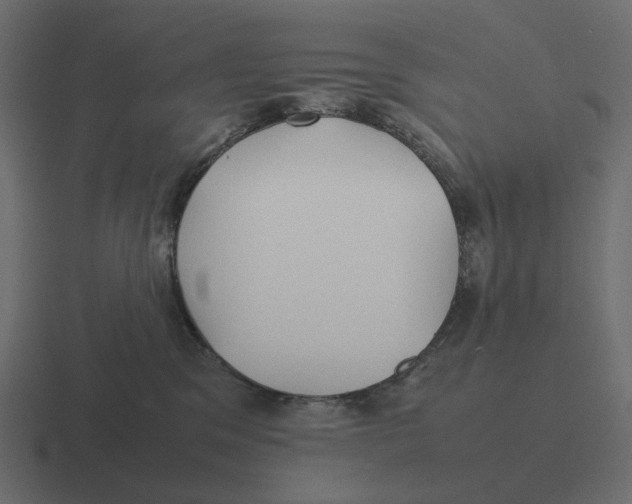 X0000116350329200912291636