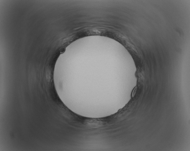 X0000116350331200912291636