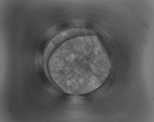 X0000116350336200912291636