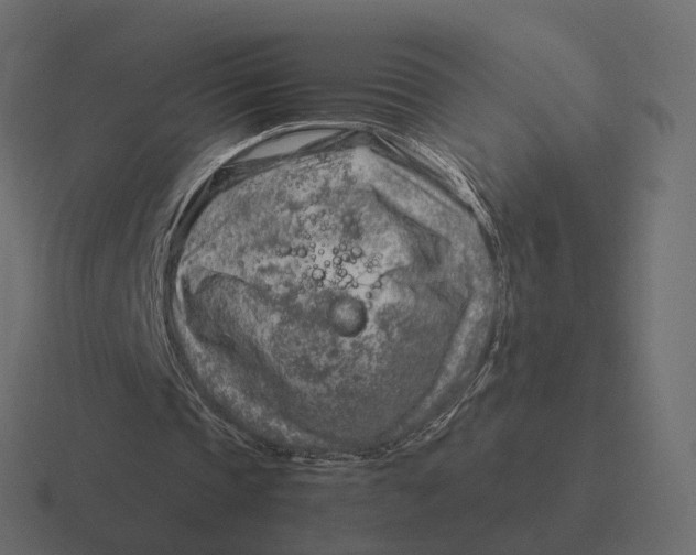 X0000116350337200912291636