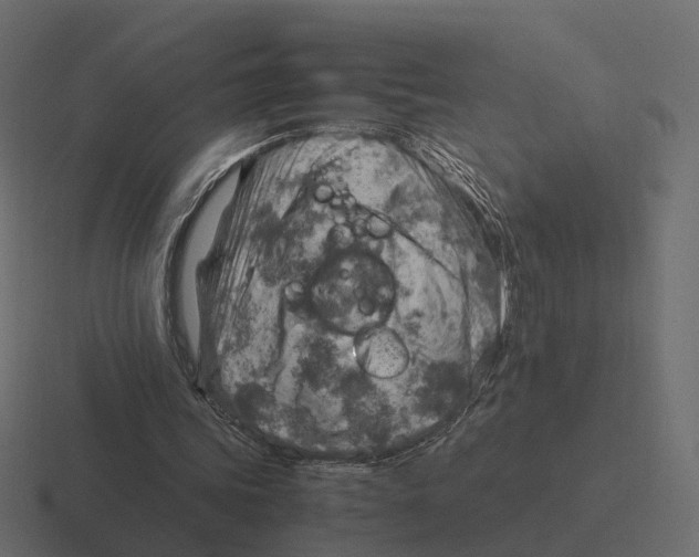 X0000116350339200912291636