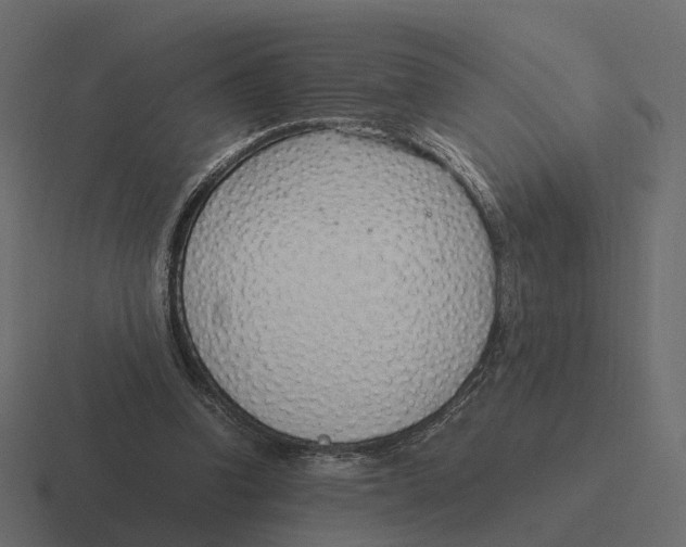 X0000116350346200912291636