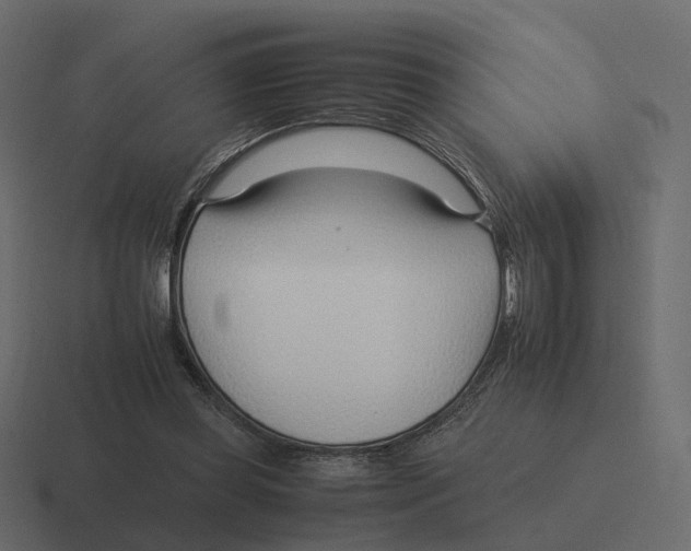 X0000116350349200912291636