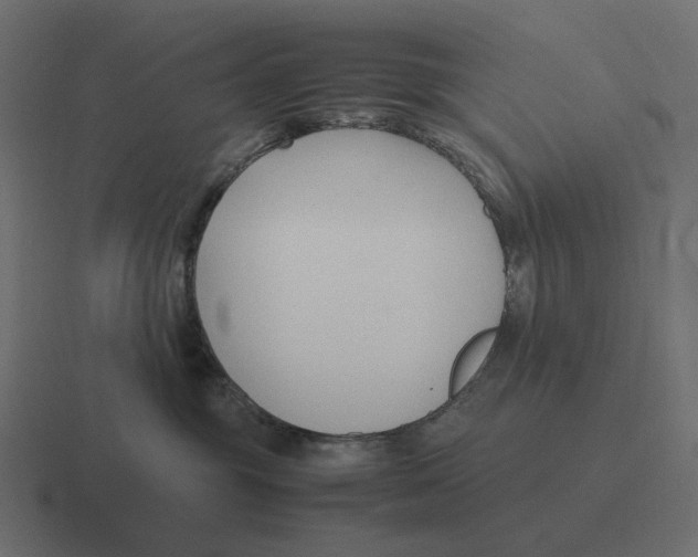 X0000116350381200912291636