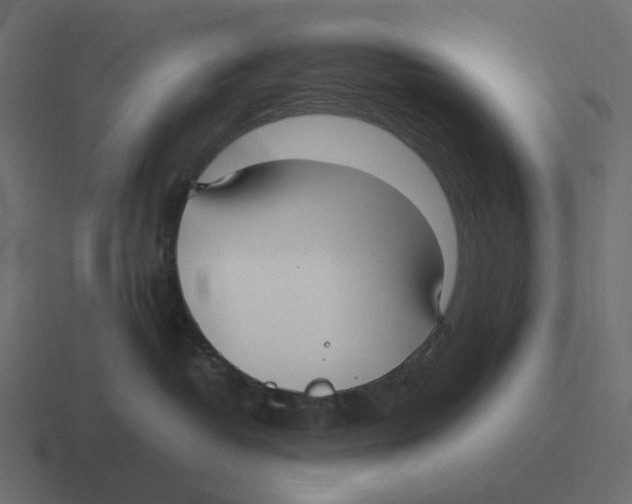 X0000116350382200912291636