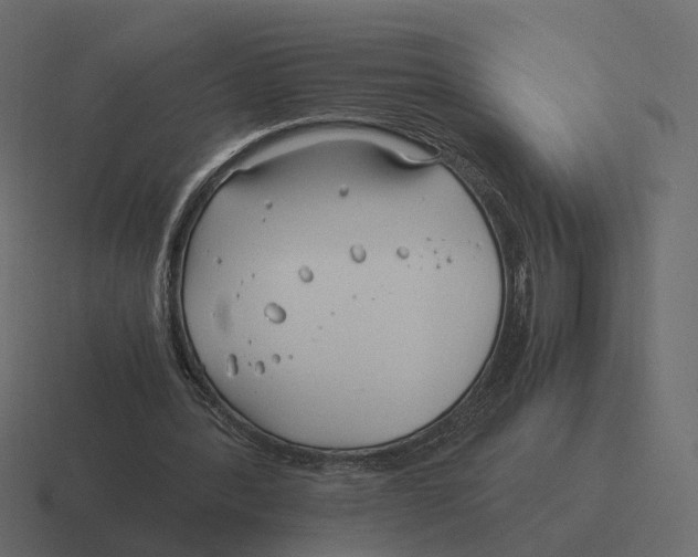 X0000116350388200912291636
