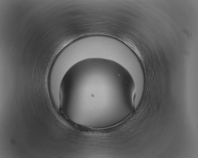 X0000116350389200912291636