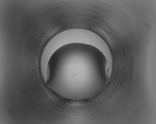 X0000116350405200912291635