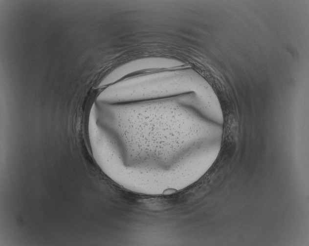 X0000116350417200912291635