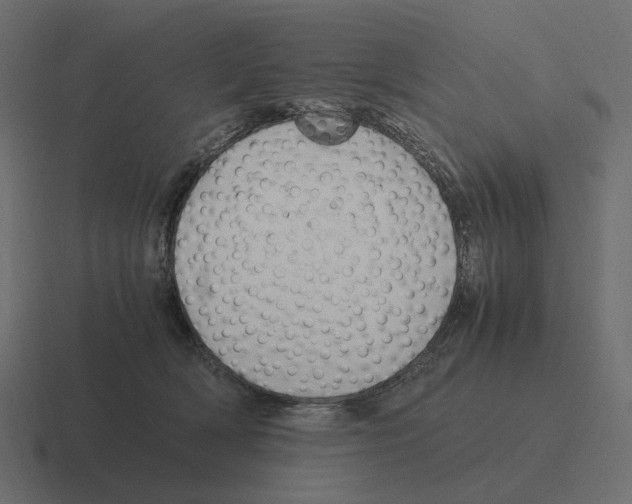 X0000116350418200912291635