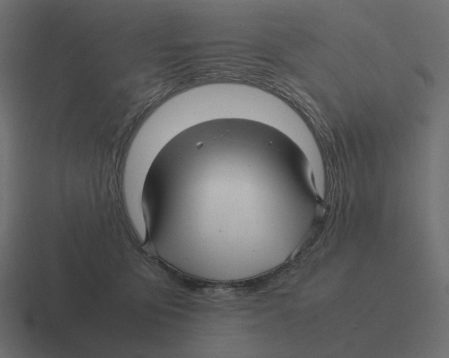 X0000116350419200912291635