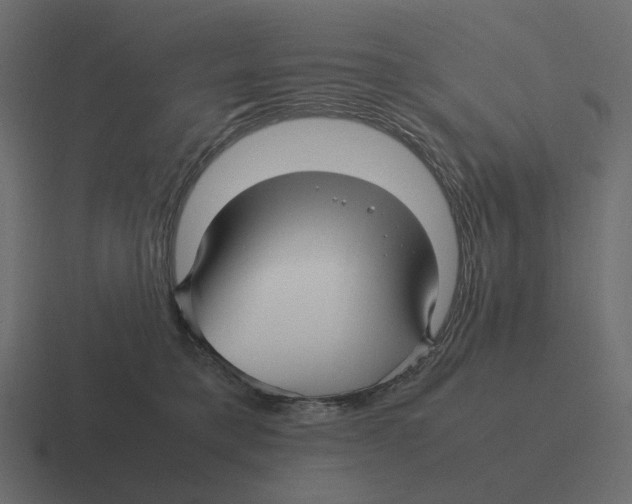 X0000116350421200912291635