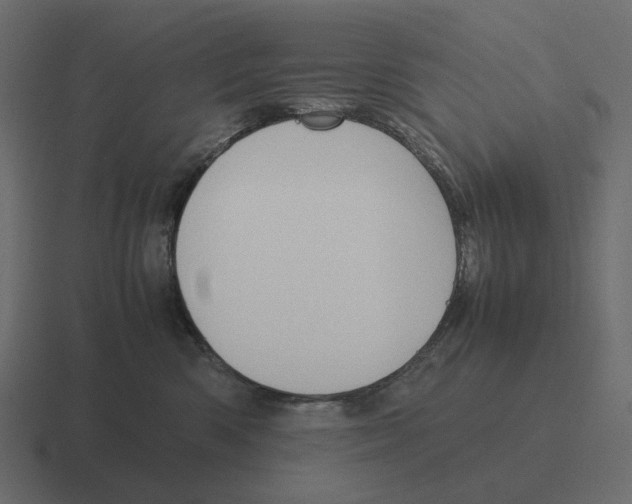 X0000116350426200912291635