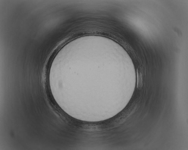 X0000116350435200912291634