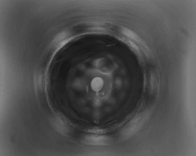 X0000116350440200912291634