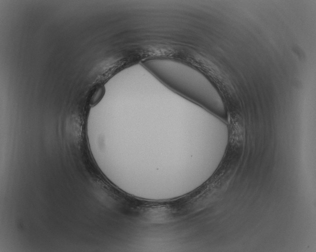 X0000116350456200912291635