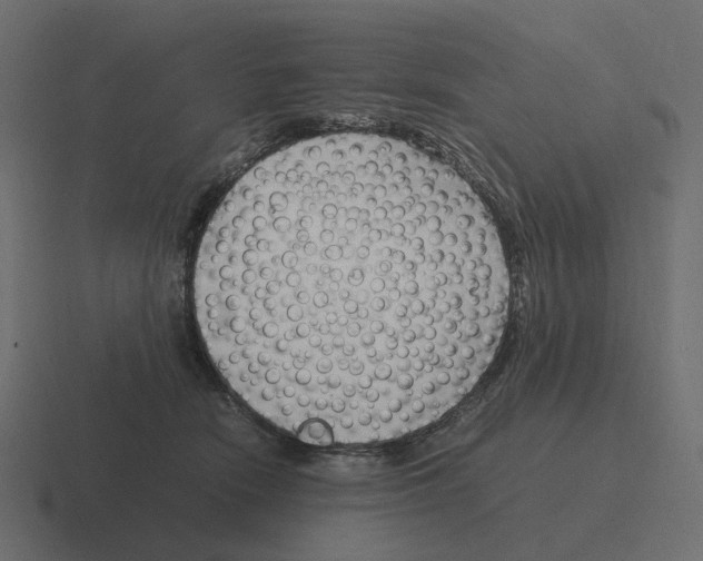 X0000116350466200912291635
