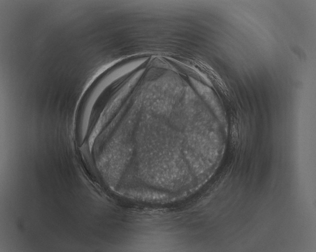 X0000116350484200912291634