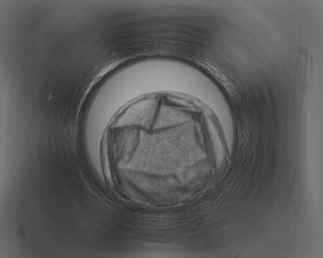 X0000116350488200912291634