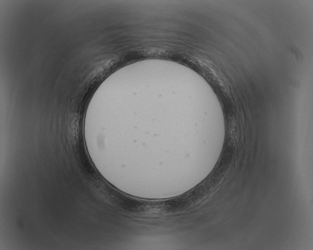 X0000116350495200912291634