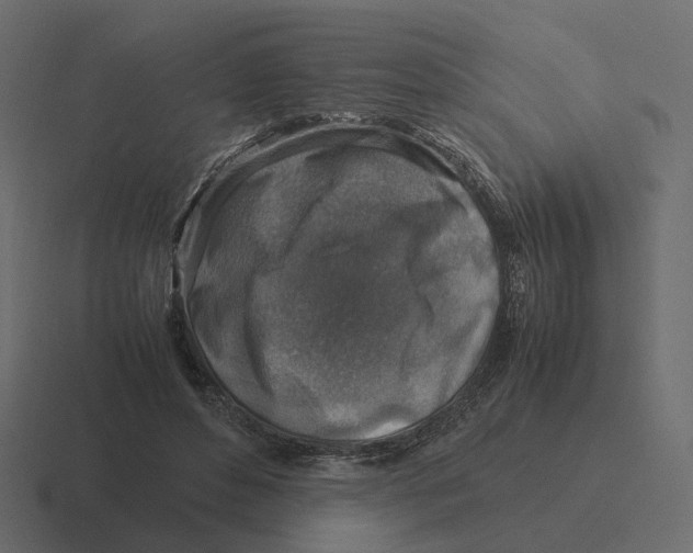 X0000116350496200912291634