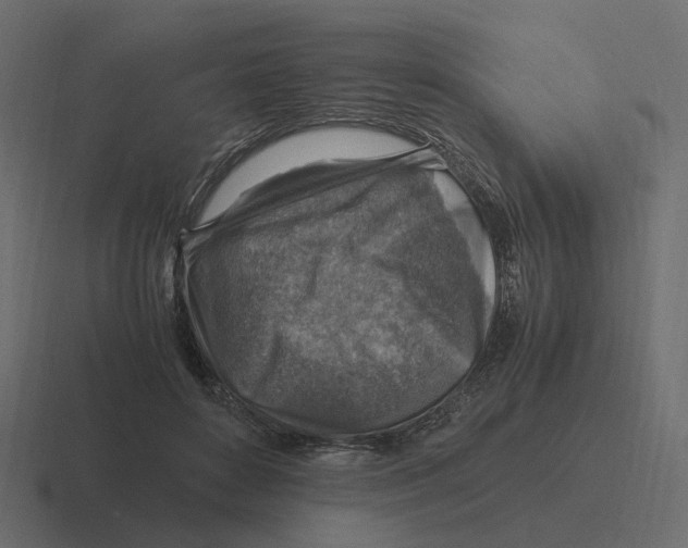 X0000116350504200912291634