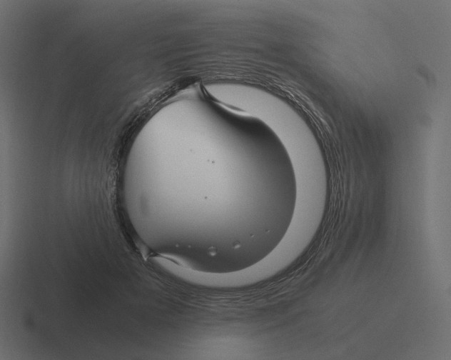 X0000116350505200912291634