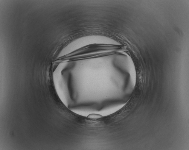 X0000116350516200912291634