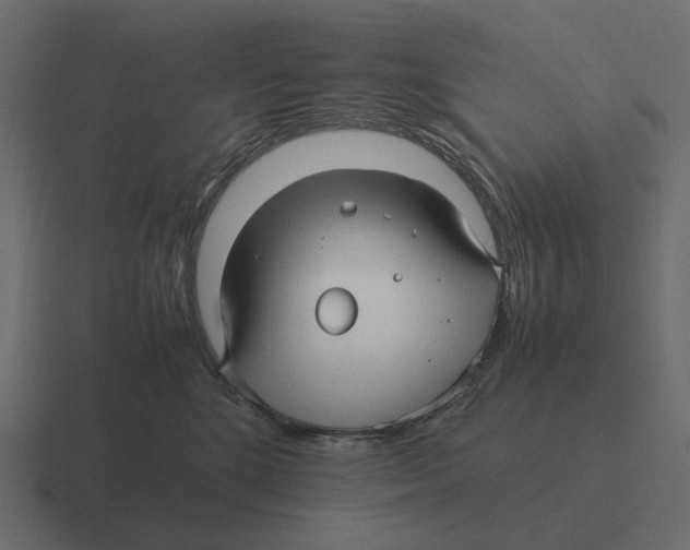 X0000116350520200912291634