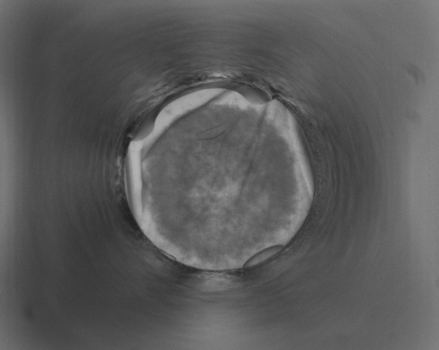 X0000116350528200912291634