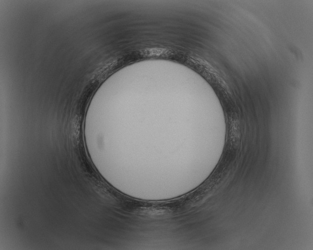 X0000116350545200912291633