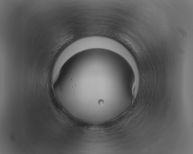 X0000116350546200912291633