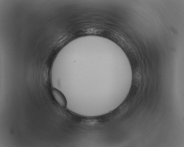 X0000116350554200912291633