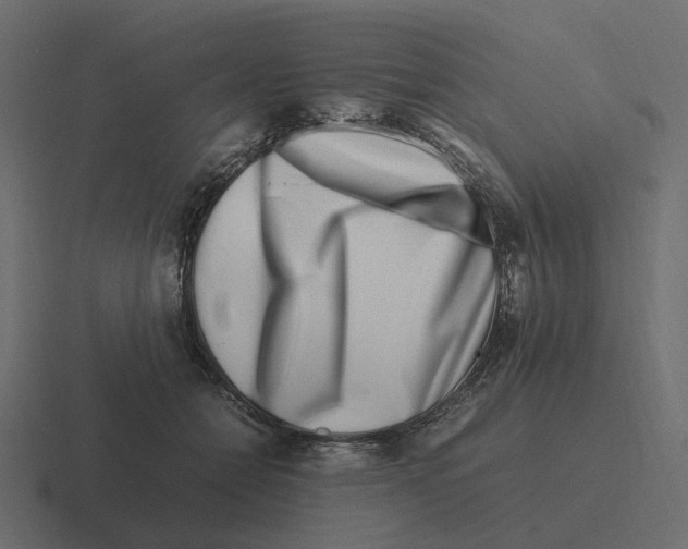 X0000116350558200912291634