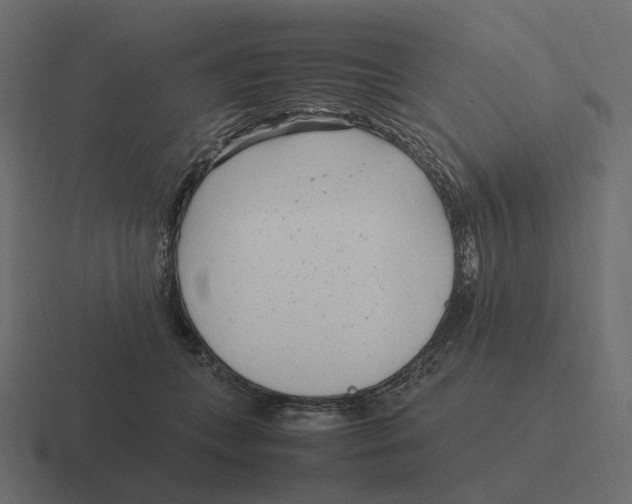 X0000116350559200912291634