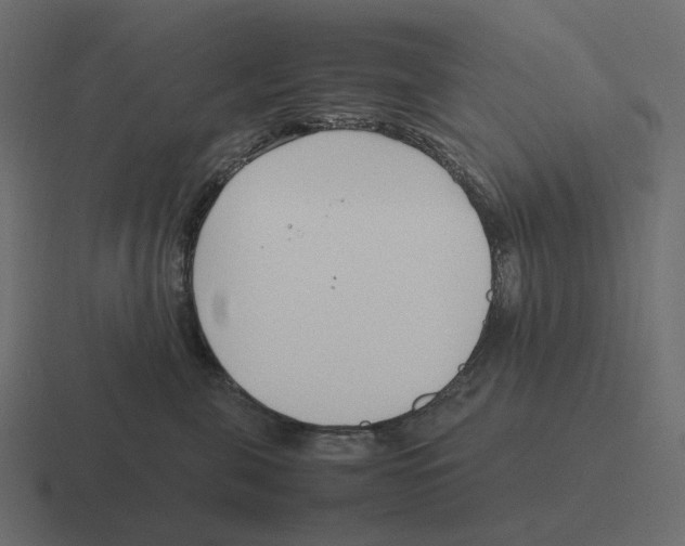X0000116350571200912291634
