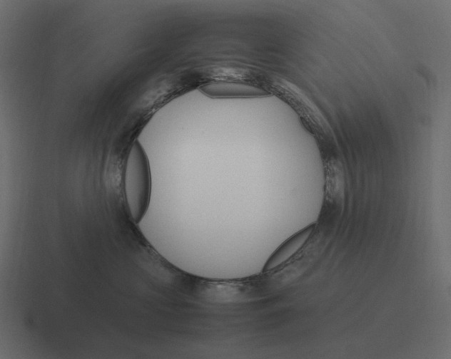 X0000116350573200912291634