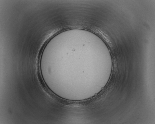 X0000116350578200912291633