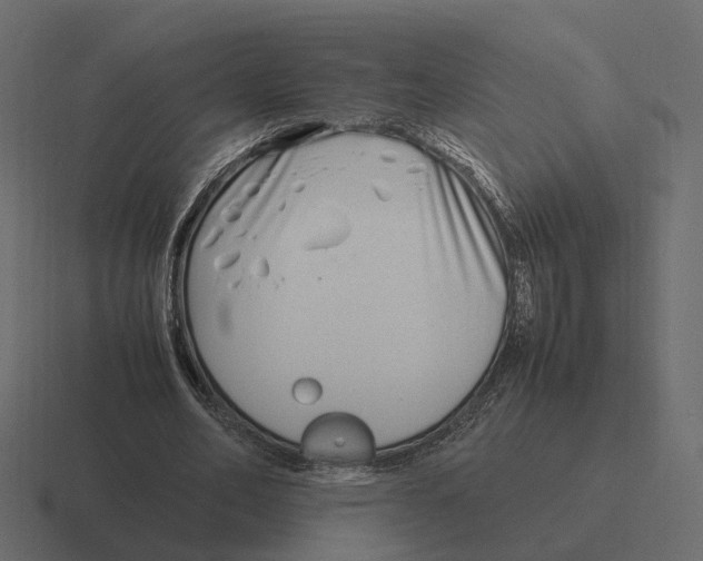 X0000116350582200912291633