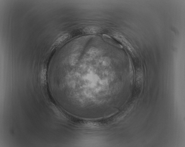 X0000116350585200912291633