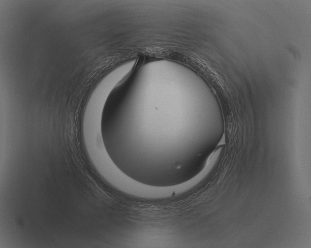 X0000116350593200912291633
