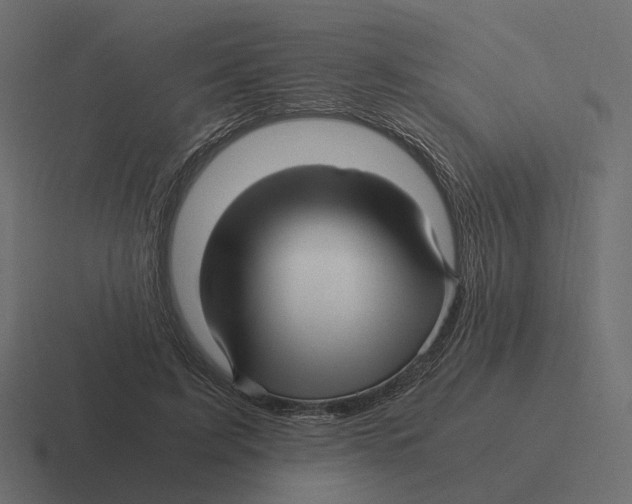 X0000116350595200912291633
