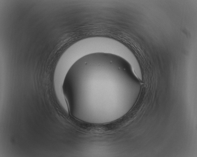 X0000116350599200912291633