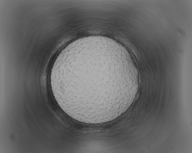 X0000116350626200912291632